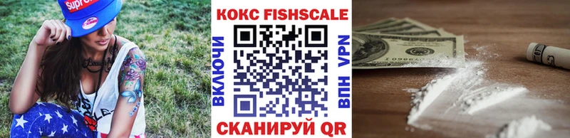 Купить  Малая Вишера  COCAIN Columbia 
