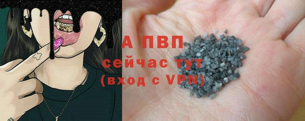 ГАЛЛЮЦИНОГЕННЫЕ ГРИБЫ Белокуриха