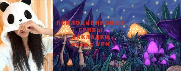 ГАЛЛЮЦИНОГЕННЫЕ ГРИБЫ Белокуриха
