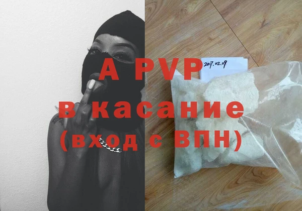 ГАЛЛЮЦИНОГЕННЫЕ ГРИБЫ Белокуриха