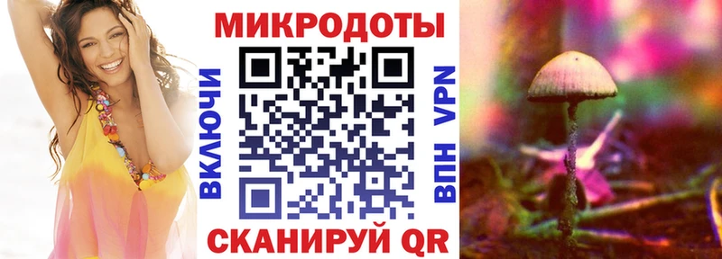 Псилоцибиновые грибы Magic Shrooms  Купить закладки  Малая Вишера 